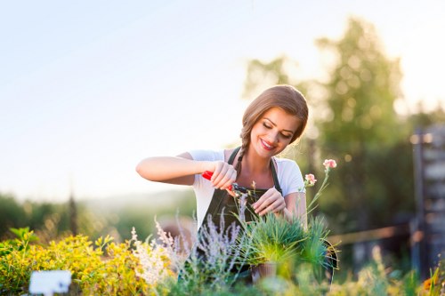 Gardener working in a Regents Park terrace garden