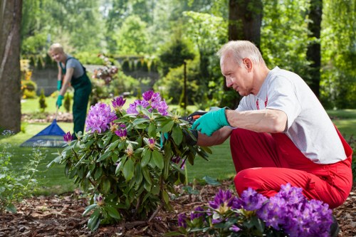 Composting pile and wood-chip processing in urban park