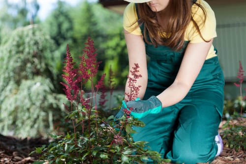 Gardening crew assessing a site before work