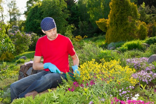 Garden clearance team removing green waste in urban courtyard